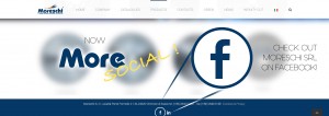 lame circolari facebook